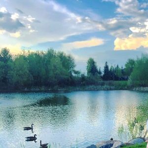 Meet your Posher, Andrea